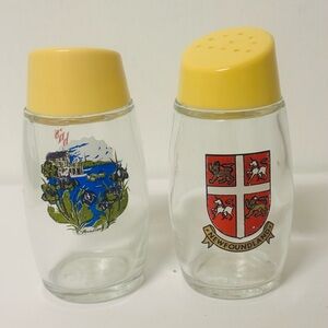 Souvenir Glass Shakers with Newfoundland and St. John’s designs